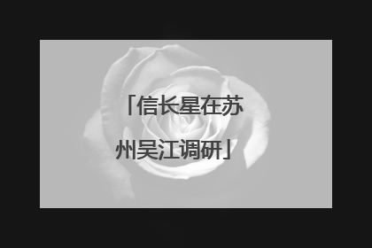 信长星在苏州吴江调研