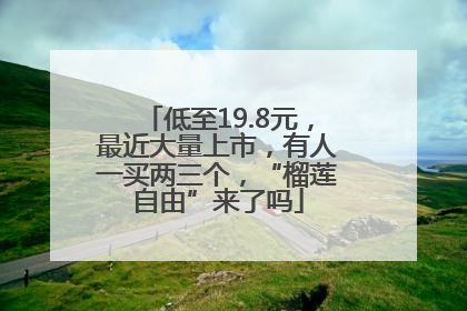 低至19.8元，最近大量上市，有人一买两三个，“榴莲自由”来了吗