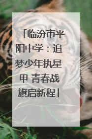 临汾市平阳中学：追梦少年执星甲 青春战旗启新程
