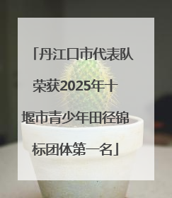 丹江口市代表队荣获2025年十堰市青少年田径锦标团体第一名