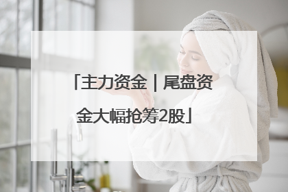 主力资金｜尾盘资金大幅抢筹2股