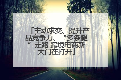 主动求变、提升产品竞争力、“多条腿”走路 跨境电商新大门在打开