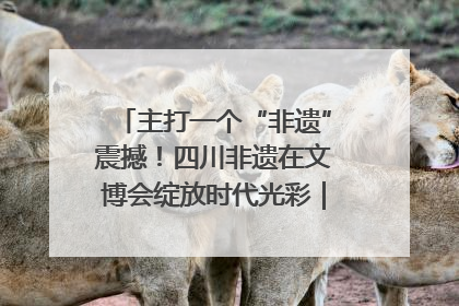 主打一个“非遗”震撼！四川非遗在文博会绽放时代光彩｜文博向“新”