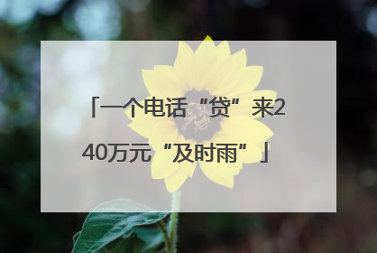 一个电话“贷”来240万元“及时雨”