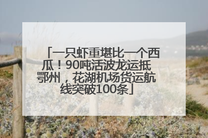 一只虾重堪比一个西瓜！90吨活波龙运抵鄂州，花湖机场货运航线突破100条