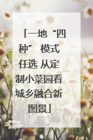 一地“四种” 模式任选 从定制小菜园看城乡融合新图景