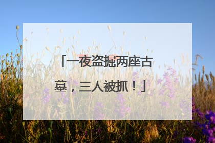 一夜盗掘两座古墓，三人被抓！