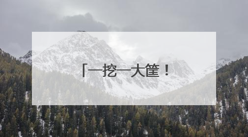 一挖一大筐！很多人来日照这里赶海！