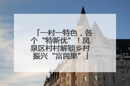 一村一特色，各个“特新优”！凤泉区村村解锁乡村振兴“富民果”