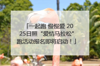 一起跑 慢慢爱 2025日照“爱情马拉松”跑活动报名即将启动！