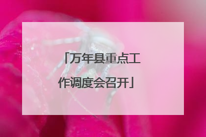 万年县重点工作调度会召开
