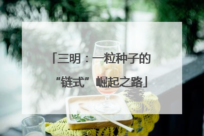三明：一粒种子的“链式”崛起之路