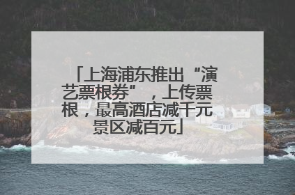 上海浦东推出“演艺票根券”，上传票根，最高酒店减千元景区减百元