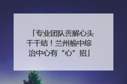 专业团队善解心头千千结！兰州榆中综治中心有“心”招