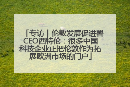 专访丨伦敦发展促进署CEO西特伦：很多中国科技企业正把伦敦作为拓展欧洲市场的门户
