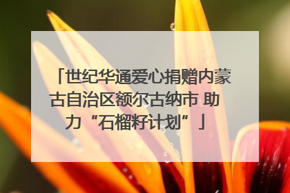 世纪华通爱心捐赠内蒙古自治区额尔古纳市 助力“石榴籽计划”
