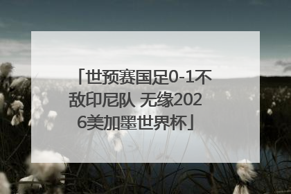 世预赛国足0-1不敌印尼队 无缘2026美加墨世界杯