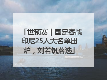 世预赛｜国足客战印尼25人大名单出炉，刘若钒落选