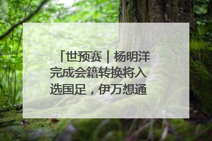 世预赛｜杨明洋完成会籍转换将入选国足，伊万想通了要打双后腰？