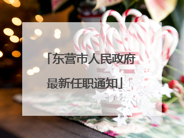 东营市人民政府最新任职通知