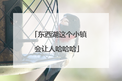 东西湖这个小镇会让人哈哈哈