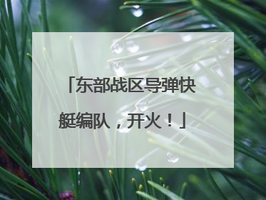 东部战区导弹快艇编队，开火！