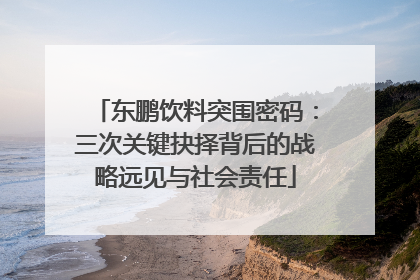 东鹏饮料突围密码：三次关键抉择背后的战略远见与社会责任