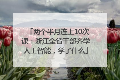 两个半月连上10次课：浙江全省干部齐学人工智能，学了什么