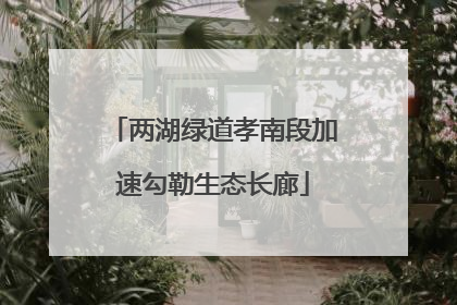 两湖绿道孝南段加速勾勒生态长廊