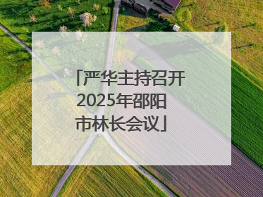 严华主持召开2025年邵阳市林长会议