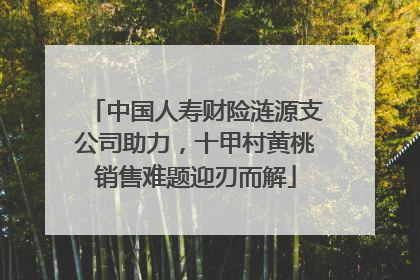 中国人寿财险涟源支公司助力，十甲村黄桃销售难题迎刃而解