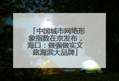 中国城市网络形象指数在京发布，海口：做强做实文旅海滨大品牌