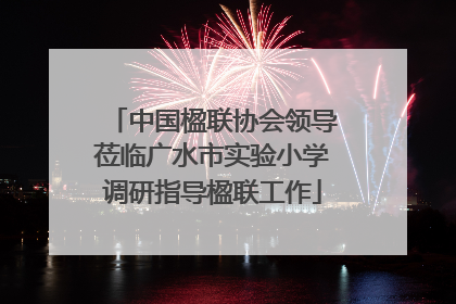 中国楹联协会领导莅临广水市实验小学调研指导楹联工作