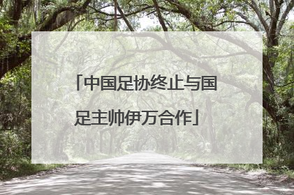 中国足协终止与国足主帅伊万合作