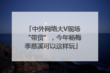 中外网络大V现场“带货”，今年杨梅季慈溪可以这样玩