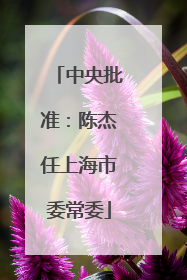 中央批准：陈杰任上海市委常委