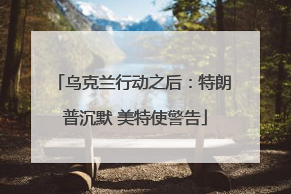乌克兰行动之后：特朗普沉默 美特使警告