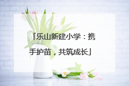 乐山新建小学：携手护苗，共筑成长