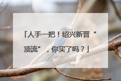人手一把！绍兴新晋“顶流”，你买了吗？