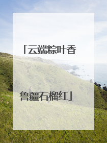 云端粽叶香 鲁疆石榴红
