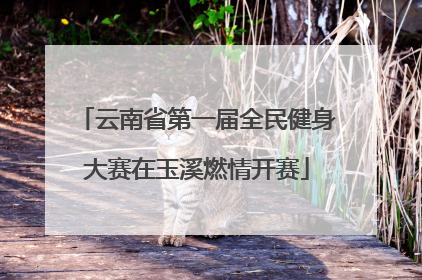 云南省第一届全民健身大赛在玉溪燃情开赛