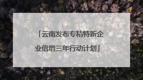 云南发布专精特新企业倍增三年行动计划