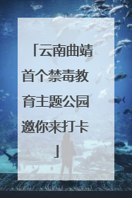 云南曲靖首个禁毒教育主题公园邀你来打卡