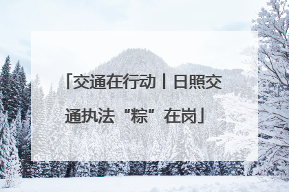 交通在行动丨日照交通执法“粽”在岗