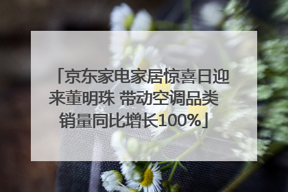 京东家电家居惊喜日迎来董明珠 带动空调品类销量同比增长100%