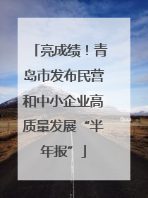 亮成绩！青岛市发布民营和中小企业高质量发展“半年报”