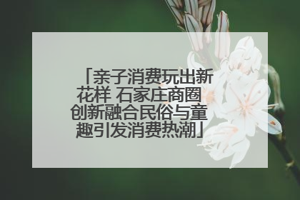 亲子消费玩出新花样 石家庄商圈创新融合民俗与童趣引发消费热潮