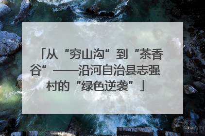 从“穷山沟”到“茶香谷”——沿河自治县志强村的“绿色逆袭”