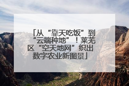 从“靠天吃饭”到“云端种地”！莱芜区“空天地网”织出数字农业新图景