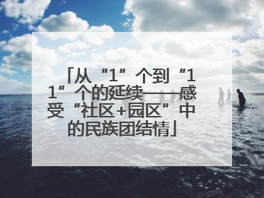 从“1”个到“11”个的延续——感受“社区+园区”中的民族团结情